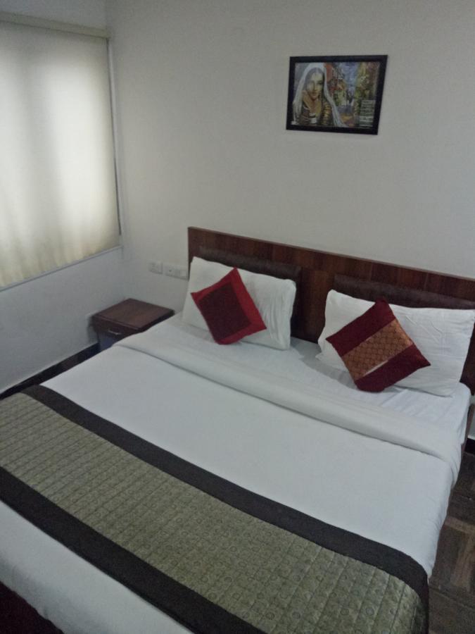 Hotel Nathu Palace 新德里 外观 照片